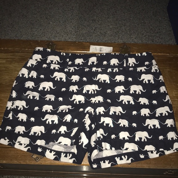 LOFT Pants - Loft shorts